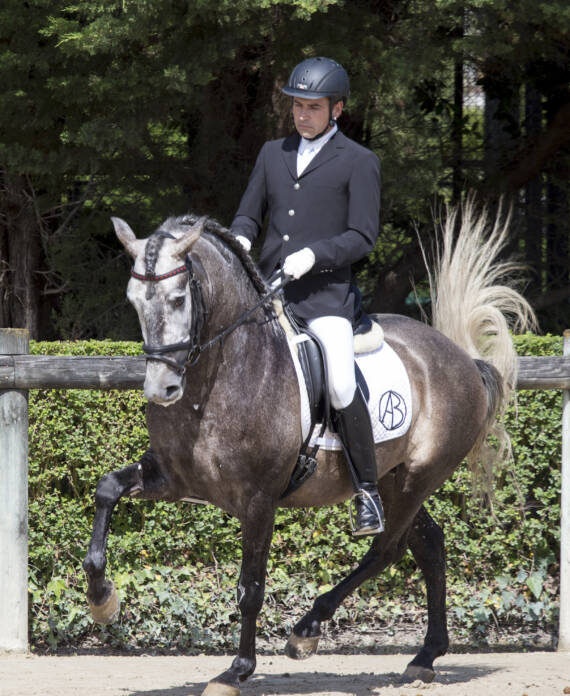DPA Caballos. Centro Ecuestre, Entrenamiento y Yeguada