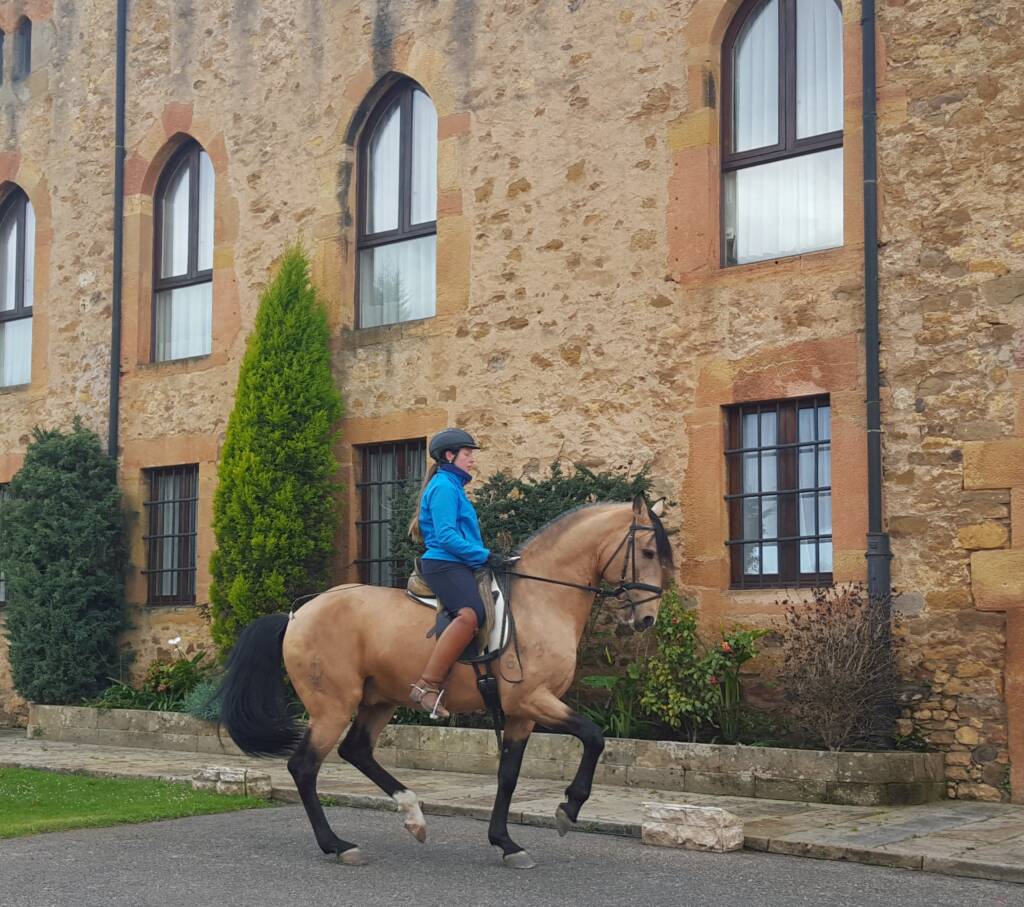 DPA Caballos. Centro Ecuestre, Entrenamiento y Yeguada
