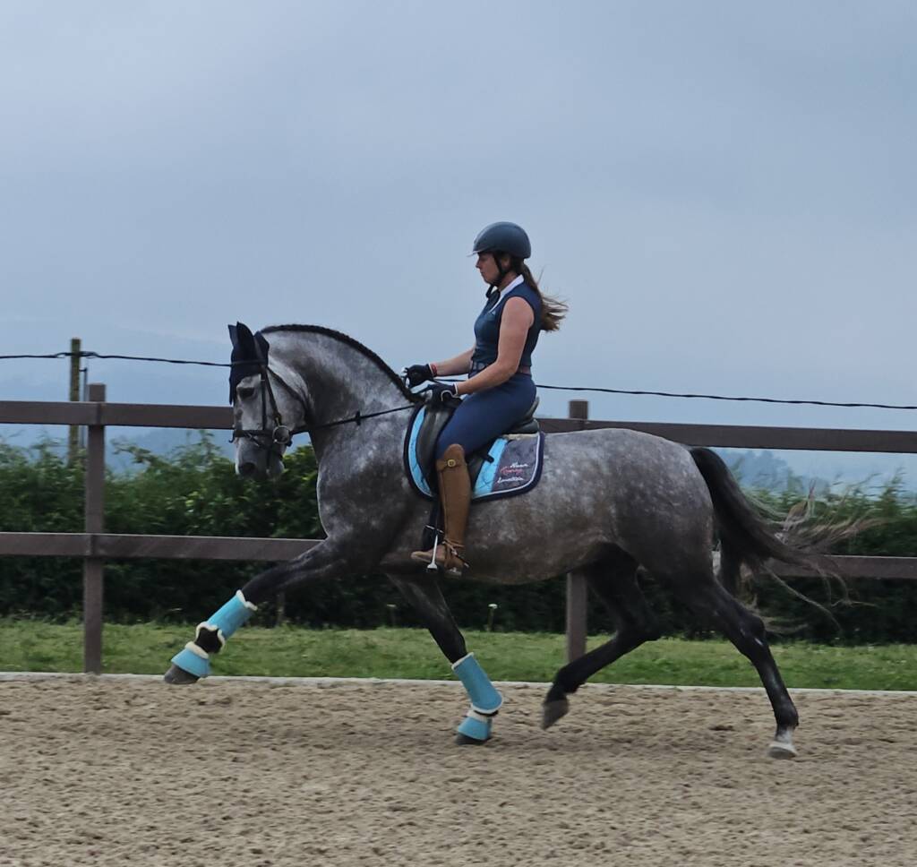 DPA Caballos. Centro Ecuestre, Entrenamiento y Yeguada