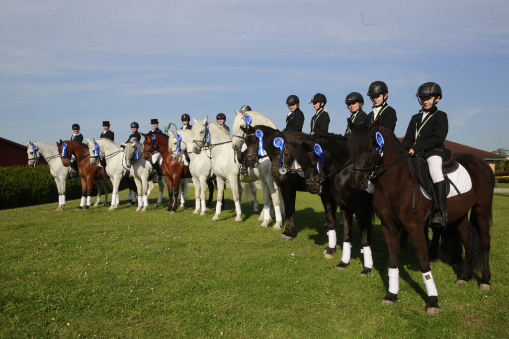 DPA Caballos. Centro Ecuestre, Entrenamiento y Yeguada