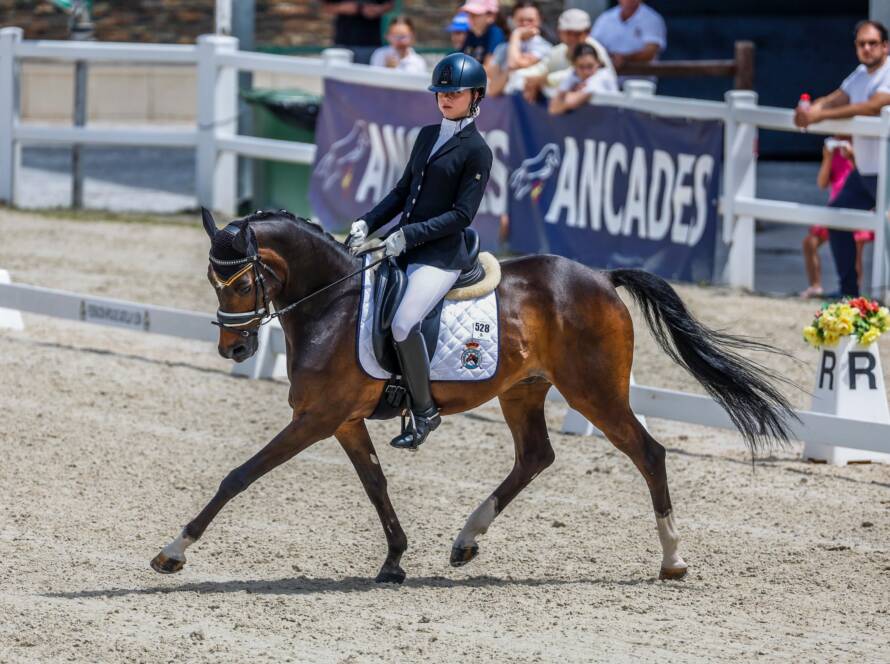 DPA Caballos. Centro Ecuestre, Entrenamiento y Yeguada