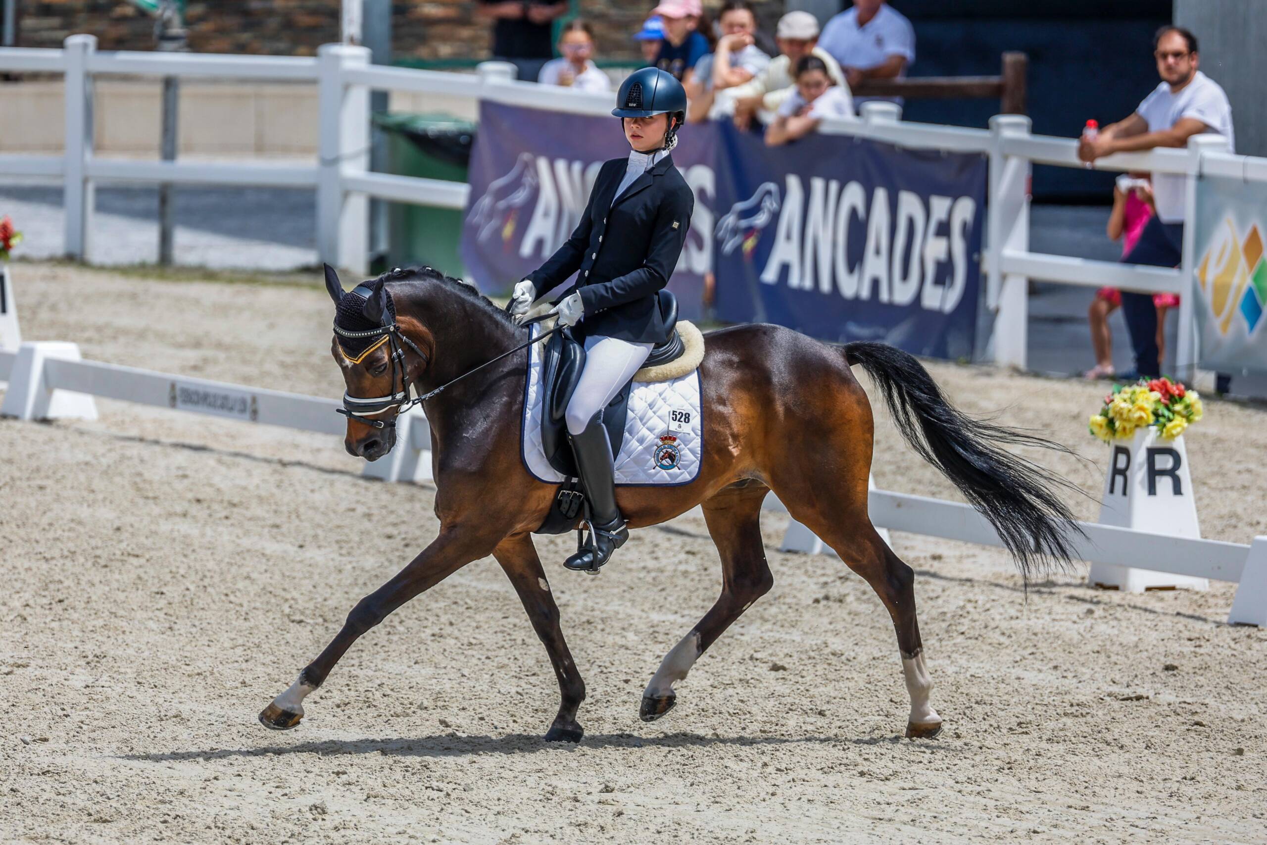 DPA Caballos. Centro Ecuestre, Entrenamiento y Yeguada