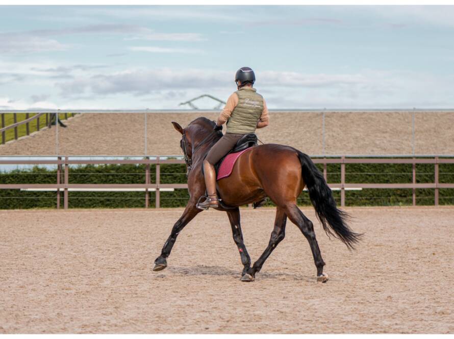 DPA Caballos. Centro Ecuestre, Entrenamiento y Yeguada