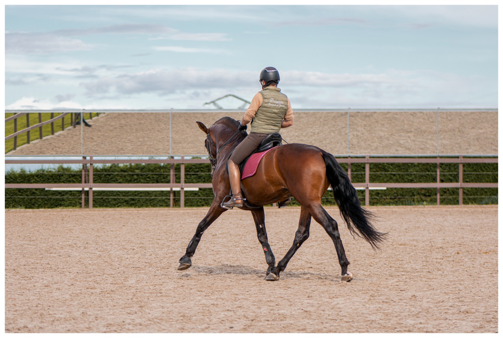 DPA Caballos. Centro Ecuestre, Entrenamiento y Yeguada