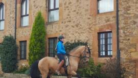 DPA Caballos. Centro Ecuestre, Entrenamiento y Yeguada