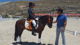 DPA Caballos. Centro Ecuestre, Entrenamiento y Yeguada