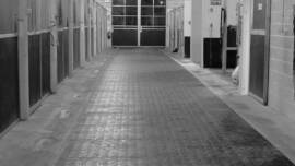 DPA Caballos. Centro Ecuestre, Entrenamiento y Yeguada