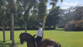 DPA Caballos. Centro Ecuestre, Entrenamiento y Yeguada