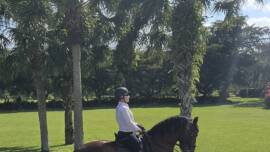 DPA Caballos. Centro Ecuestre, Entrenamiento y Yeguada