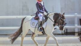DPA Caballos. Centro Ecuestre, Entrenamiento y Yeguada