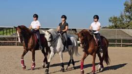 DPA Caballos. Centro Ecuestre, Entrenamiento y Yeguada