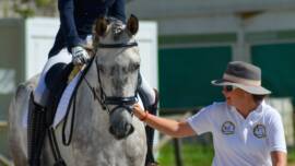 DPA Caballos. Centro Ecuestre, Entrenamiento y Yeguada