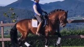 DPA Caballos. Centro Ecuestre, Entrenamiento y Yeguada