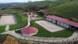 DPA Caballos. Centro Ecuestre, Entrenamiento y Yeguada