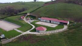 DPA Caballos. Centro Ecuestre, Entrenamiento y Yeguada