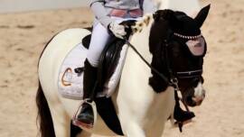 DPA Caballos. Centro Ecuestre, Entrenamiento y Yeguada