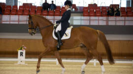 DPA Caballos. Centro Ecuestre, Entrenamiento y Yeguada