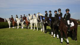 DPA Caballos. Centro Ecuestre, Entrenamiento y Yeguada